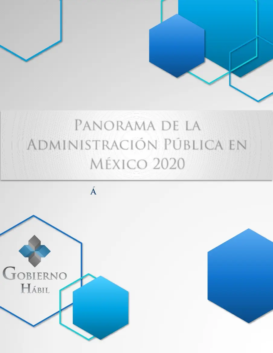 Panorama de La Administración Pública en México 2020