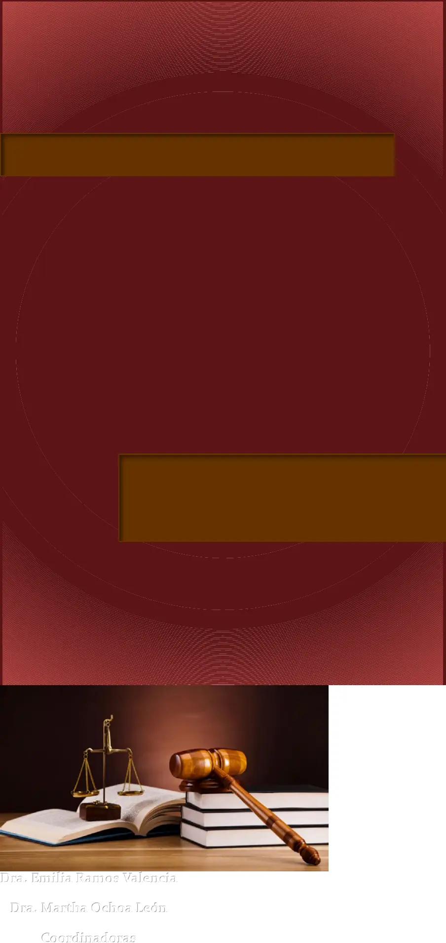 Tópicos de Derecho Constitucional