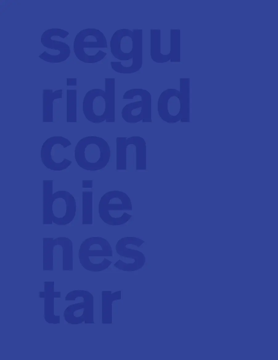 Seguridad con Bienestar