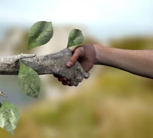 La ética ambiental como reflexión en el marco de la educación en ciencias y en teconología: hacia el desarrollo de la conciencia de la responsabilidad (Artículo) Milagros Chávez Tortolero