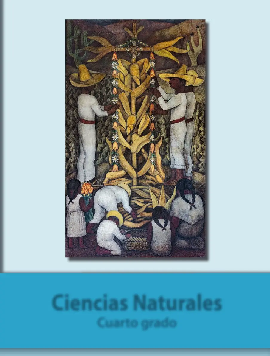 Ciencias Naturales Cuarto Grado Mexico