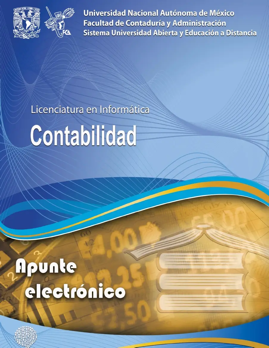 Apuntes esenciales de contabilidad