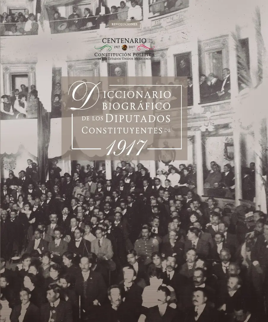 Diccionario Diputados Constituyente