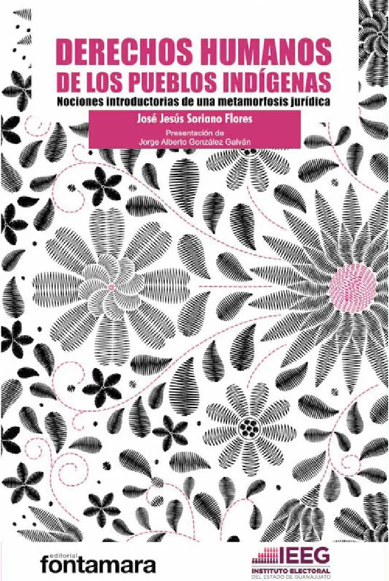 DERECHOS HUMANOS DE LOS PUEBLOS INDIGENAS