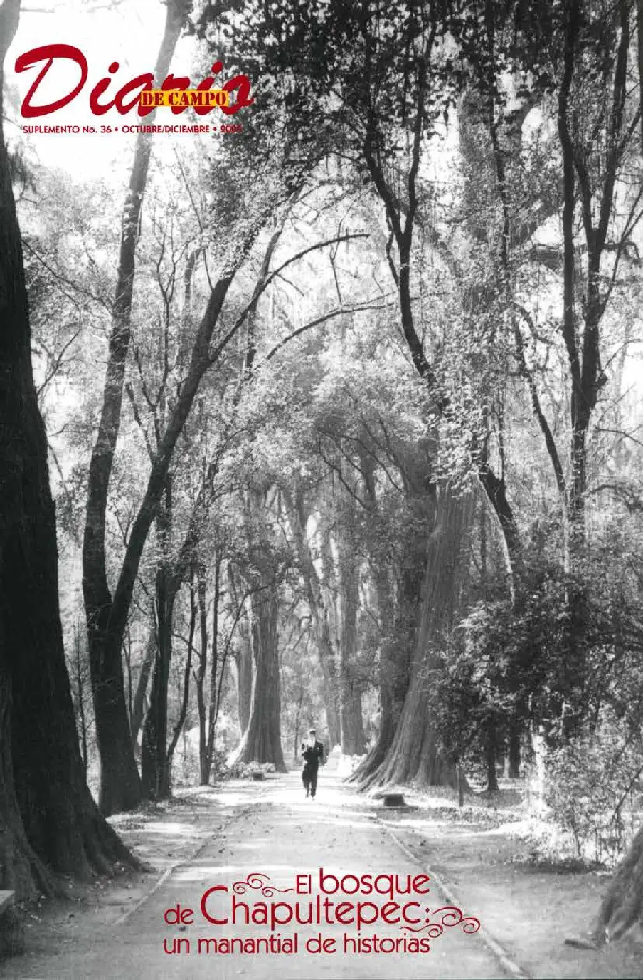 EL BOSQUE DE CHAPULTEPEC