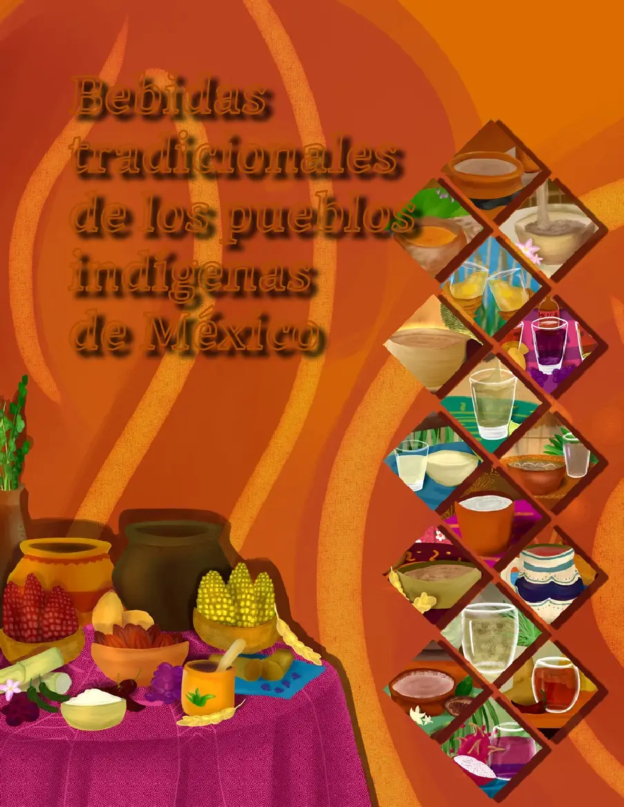 Libro Bebidas Tradicionales de Los Pueblos Indigenas