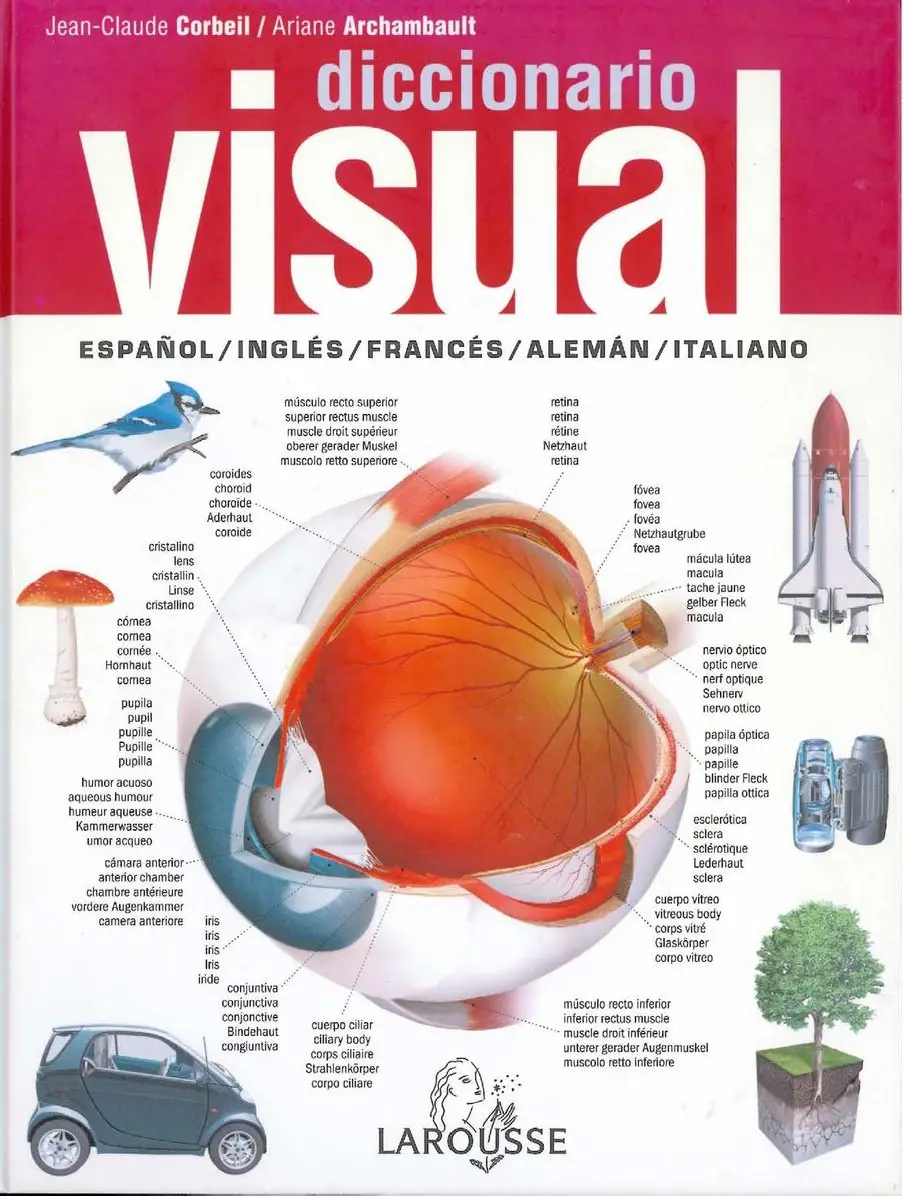 Diccionario Visual Espanol Ingles Frances Aleman Italiano