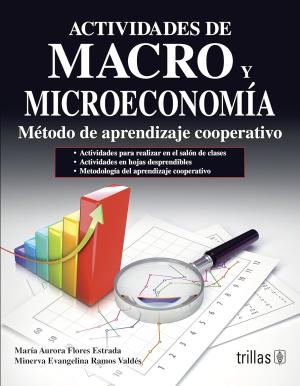 Actividades de Macro y Micro economia: metodo de aprendizaje educativo, Maria Flores y Minerva Ramos 2da edicion