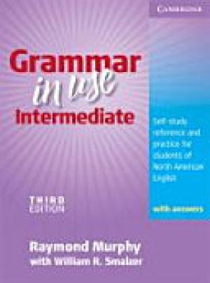 Grammar in use