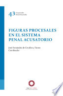 Figuras procesales en el sistema penal acusatorio